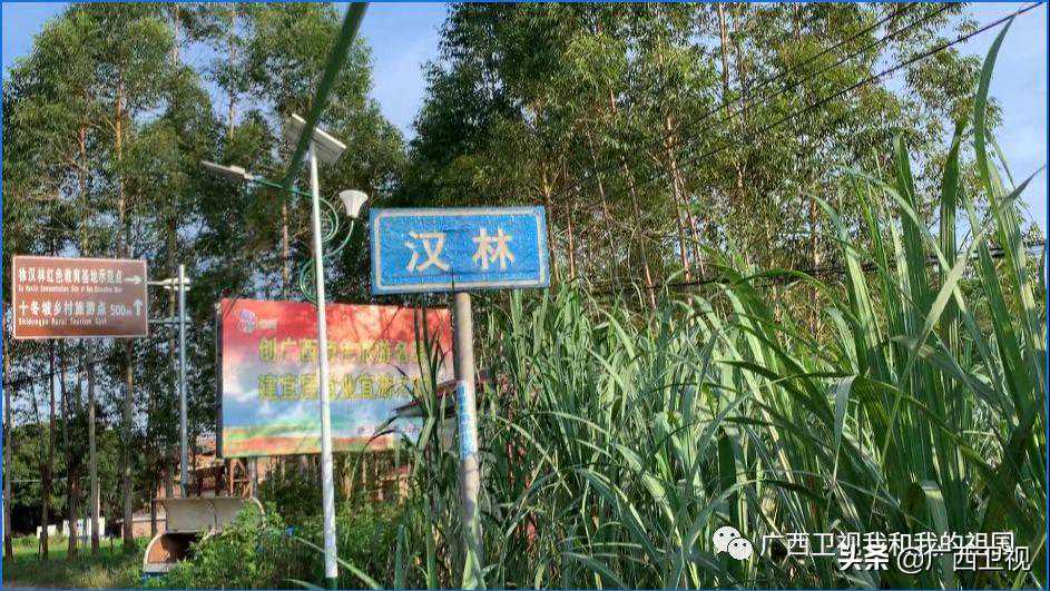 25岁舍身炸碉堡，广西剿匪战场上也有一个“董存瑞式”的战斗英雄