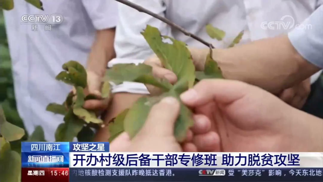 “攻坚之星”看南江，央视点赞后备干部专修班