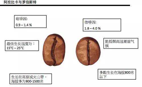 穿行小课堂｜最专业的咖啡入门课，看这一篇就够了