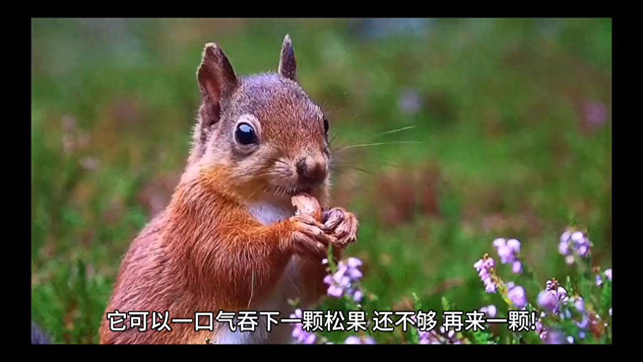 萌货大集合！