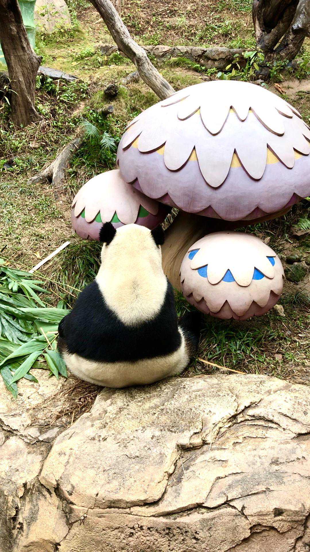 说说地方经典菜系变迁