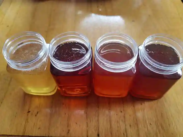 烹饪一般选择什么样的蜂蜜？