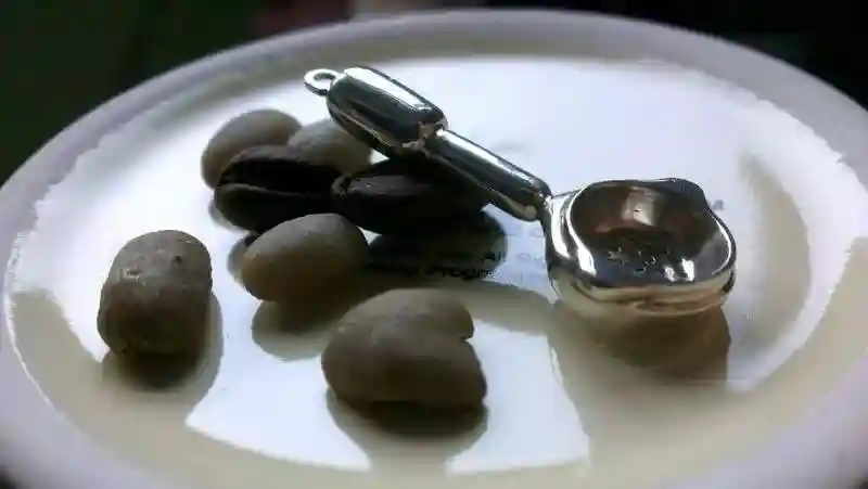 颠覆还是zuo死？——论SCAA与SCAE合并