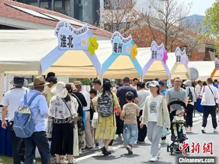 打卡安徽16市美食 创意传统糕点吸睛