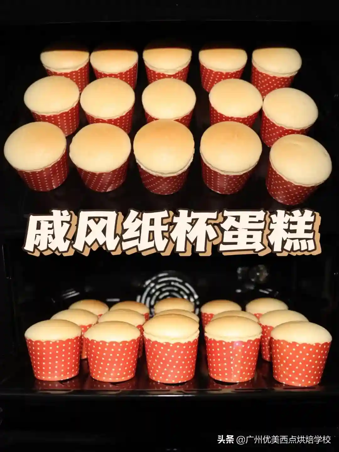 新手小白必学的戚风纸杯蛋糕，一次成功不翻车，赶紧学起来吧