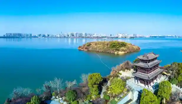 岳阳：新时代素质教育的市域探索
