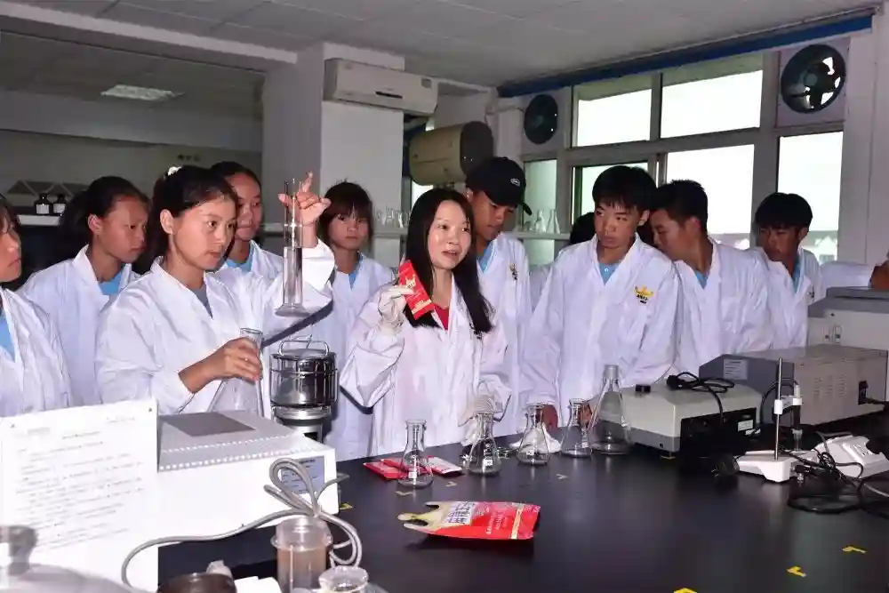 湖南平江县首开辣条专业班 县城一年创200亿辣条产值