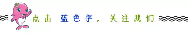 【免费公益活动报名】农民工、城镇失业人员职业技能培训班
