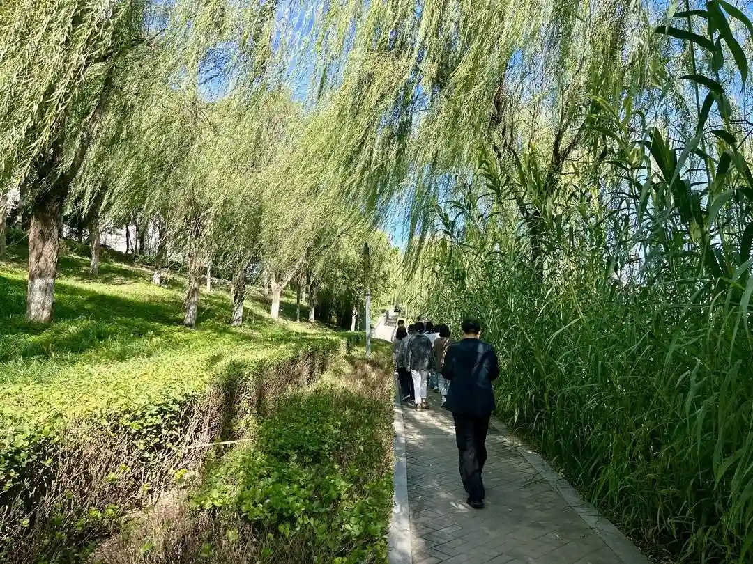 自行车博物馆、鲁能生态旅游区、中国红木城……记者探访河北廊坊文旅新场景、新业态
