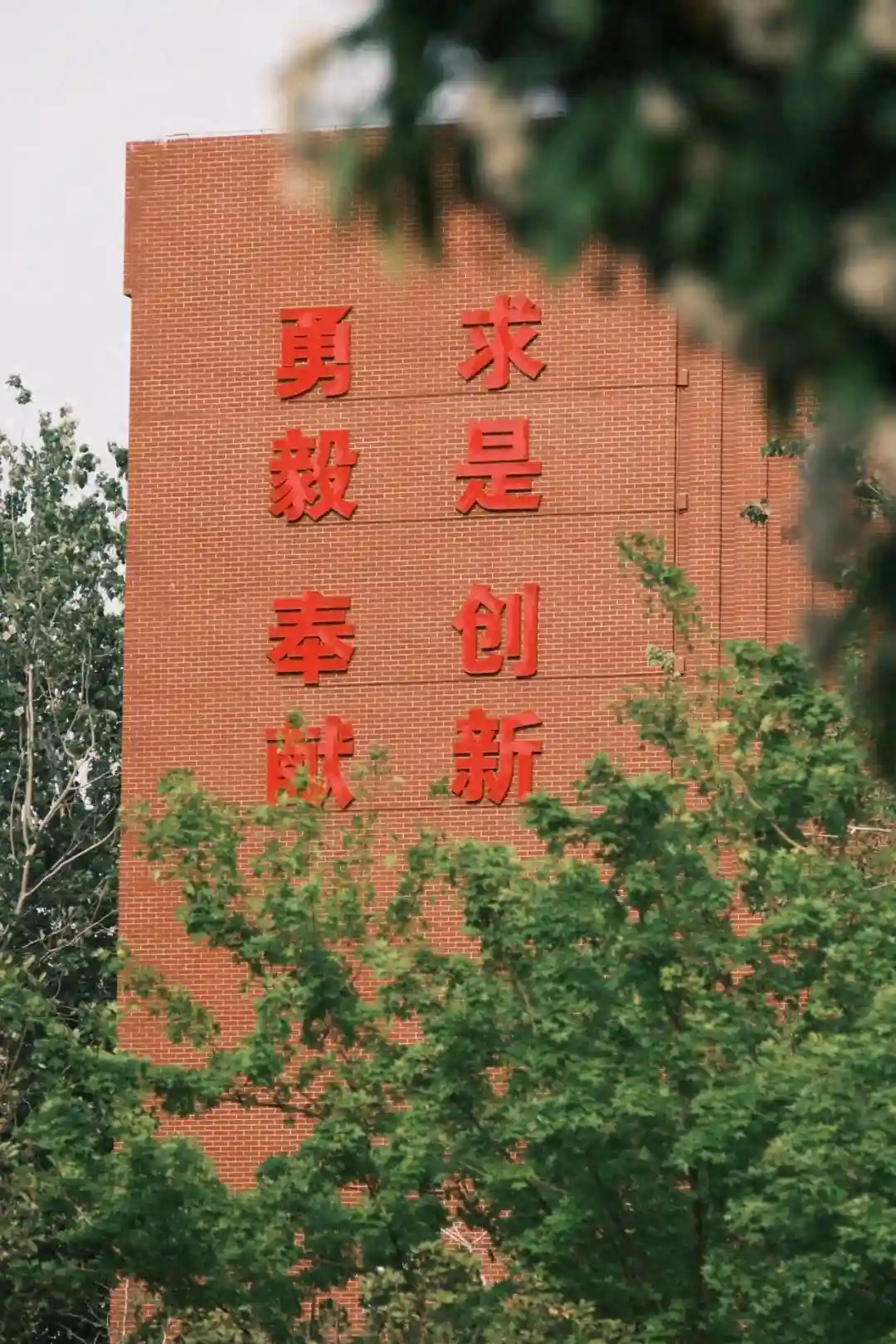 ÂÜõËÄÉÂÄíËÆ°Êó∂20Â§©ÔºÅËµ∞Ôºå‰∏ÄËµ∑ÊâìÂç°‰ø°Â§ßÔºÅ
