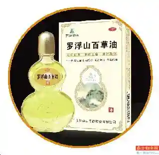 “博罗十大手信”出炉