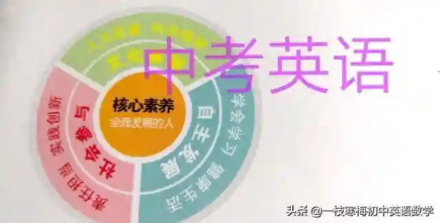 中考英语1600词汇丨单词+词组+句型（C）
