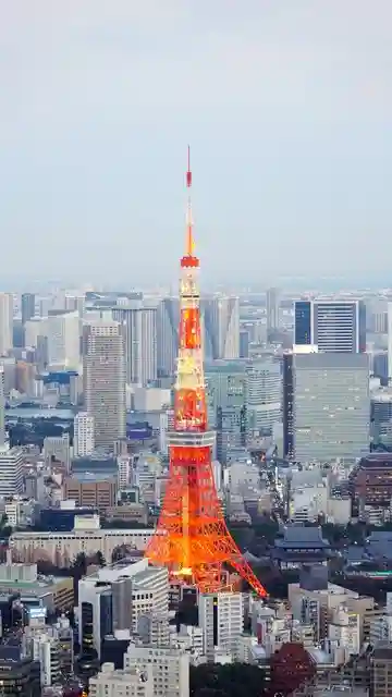 玩转日本：东京-京都-大阪全景之旅，文化与美食的极致体验！