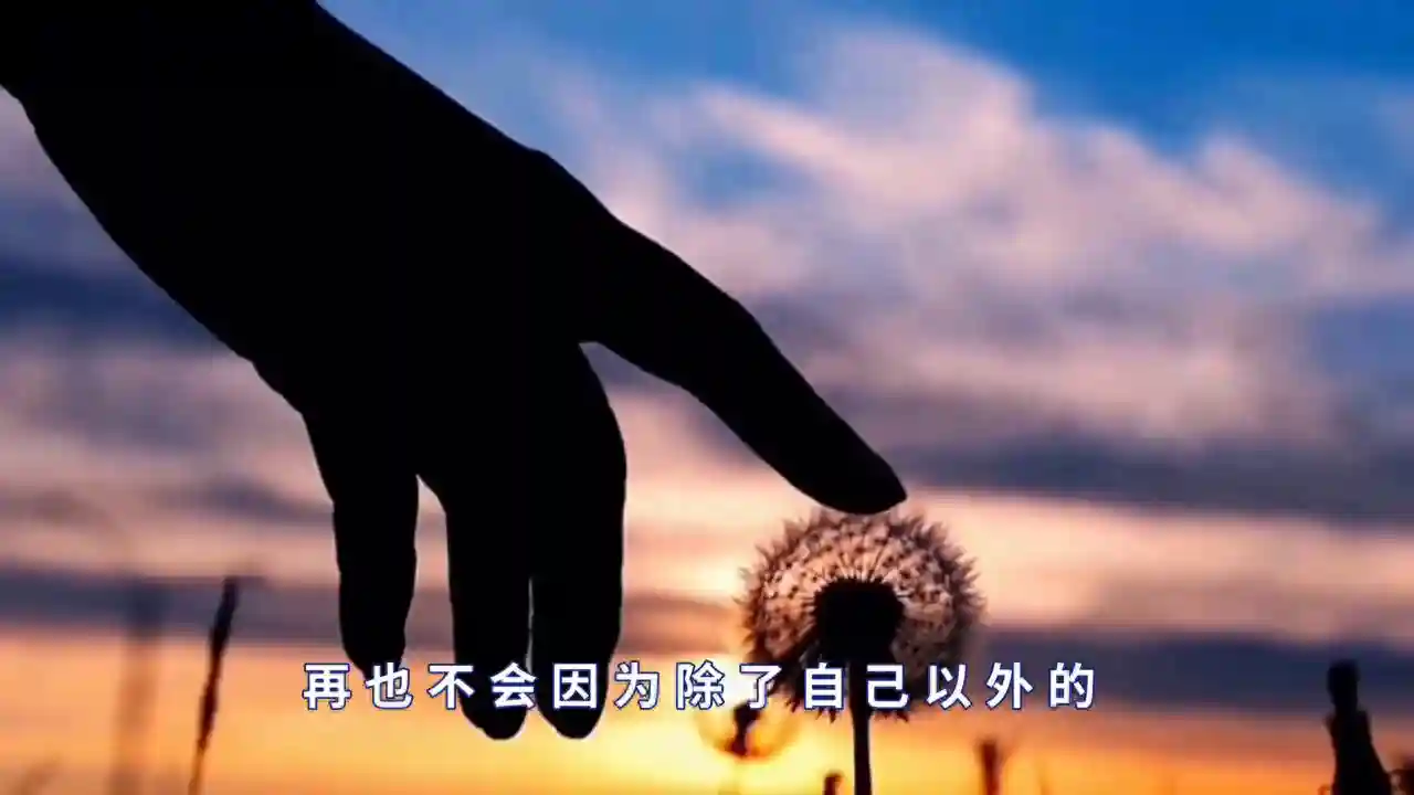 假如时间暂停三年 你会做些什么？#助眠