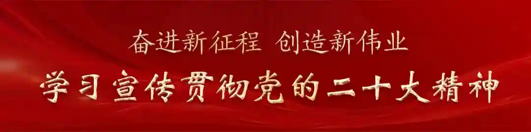 临洮手工糕点！一口下去，都是回忆