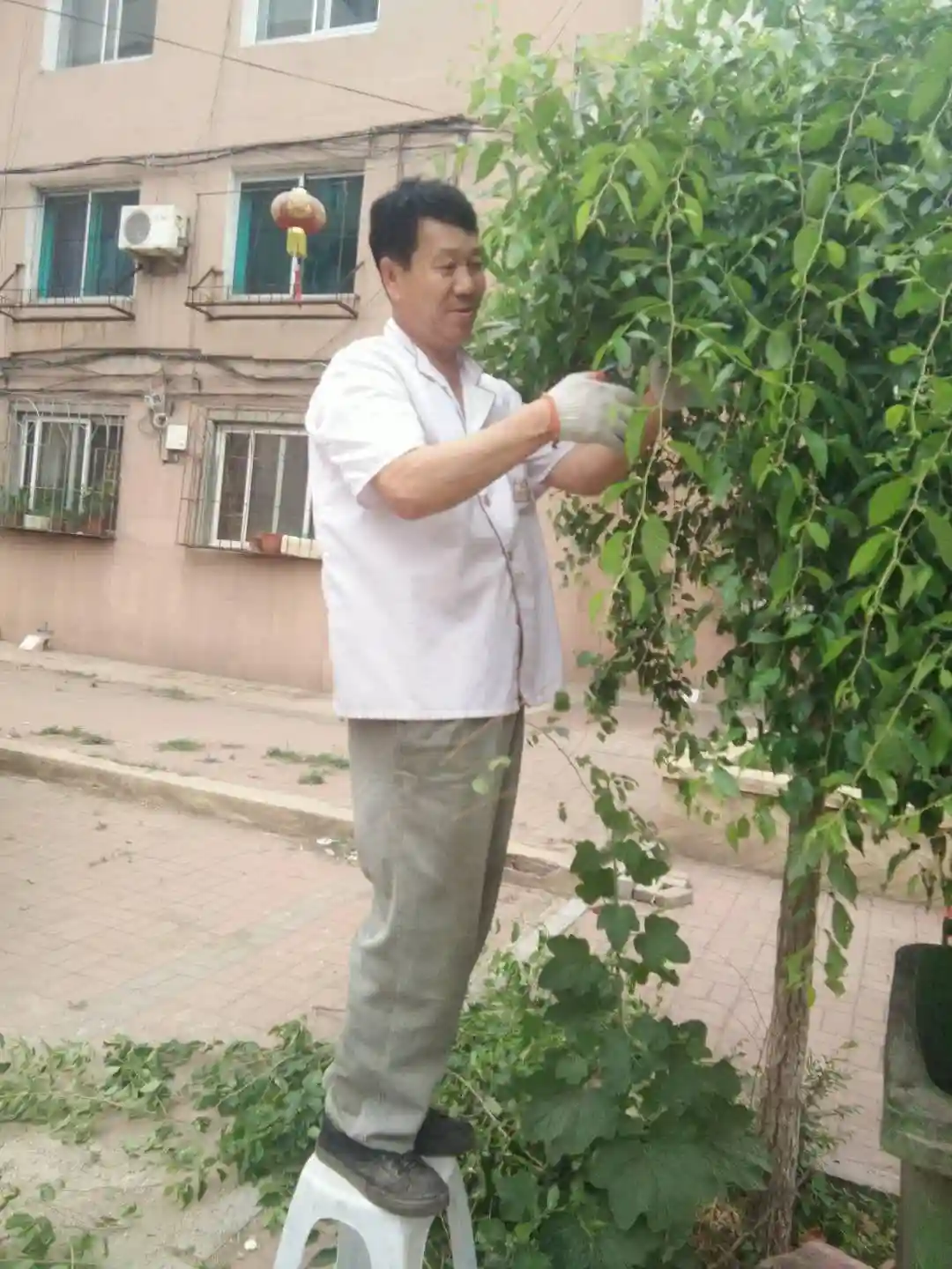 本溪华南社区有个“多才多艺”的志愿者