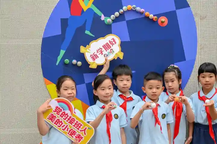 “全面二孩”迎入学潮，杭州小学新生创近三十年新高 各方如何接招？