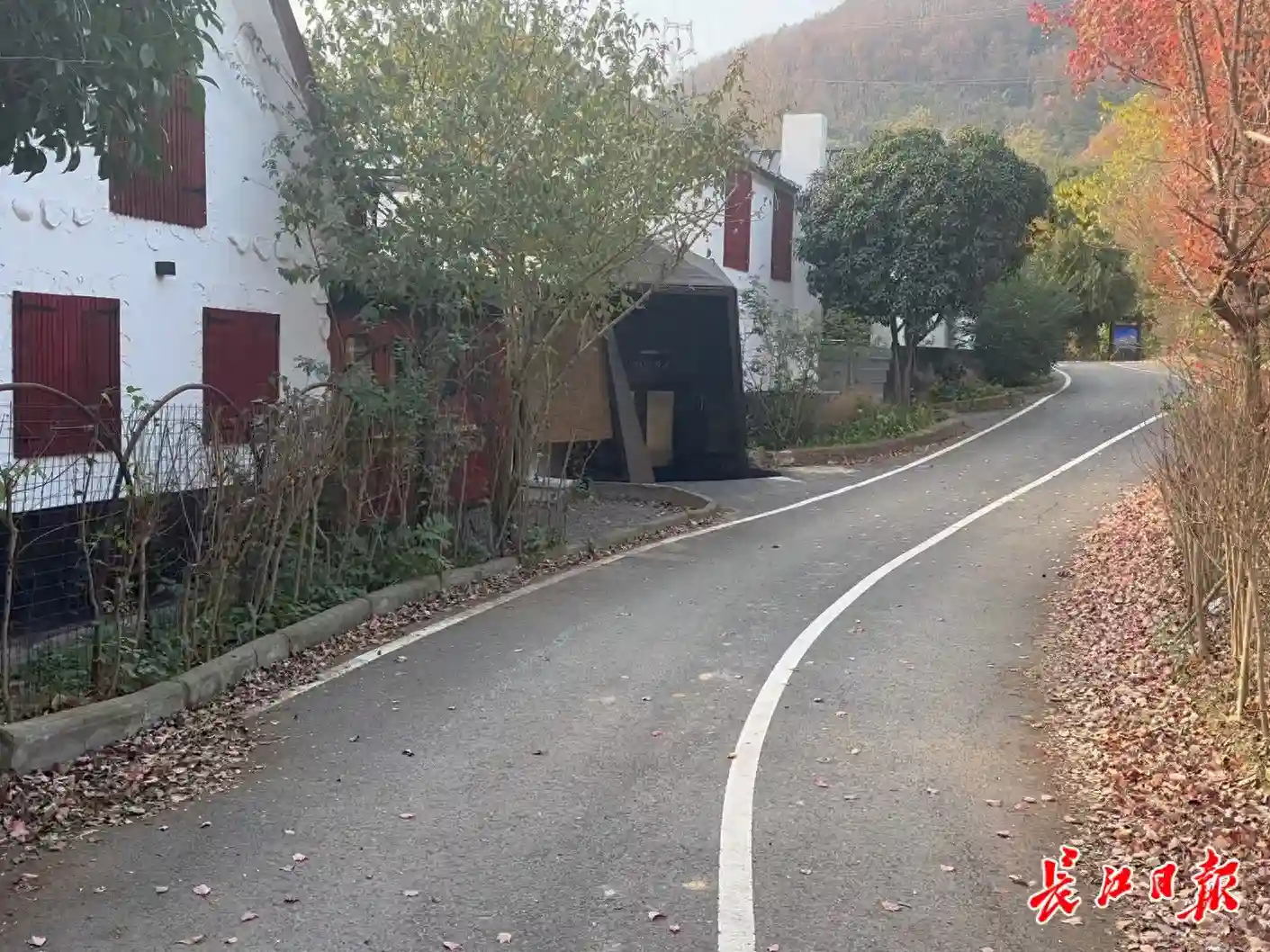 一周只开4天、一天只接8单，蔡甸小山村里开了家很“拽”的法餐厅