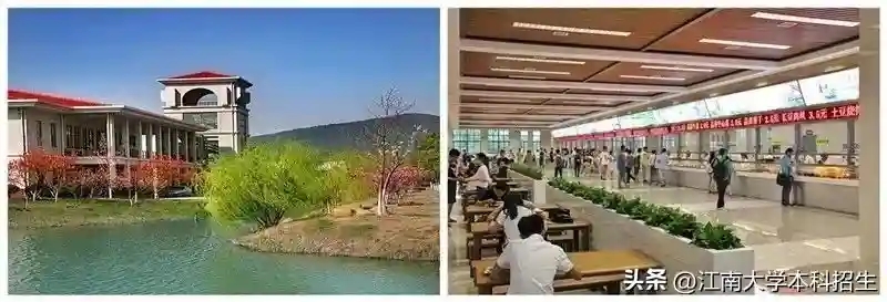 坐拥4大网红食堂、300多种美食，性价比超高！江苏这所高校让网友直呼羡慕！