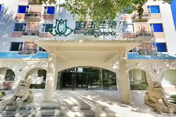 白玉兰沈阳北陵酒店开业庆典 举办“融合”风的圣诞派对