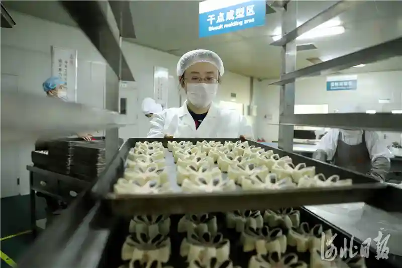 河北沧州：延伸产业链 小枣身价增
