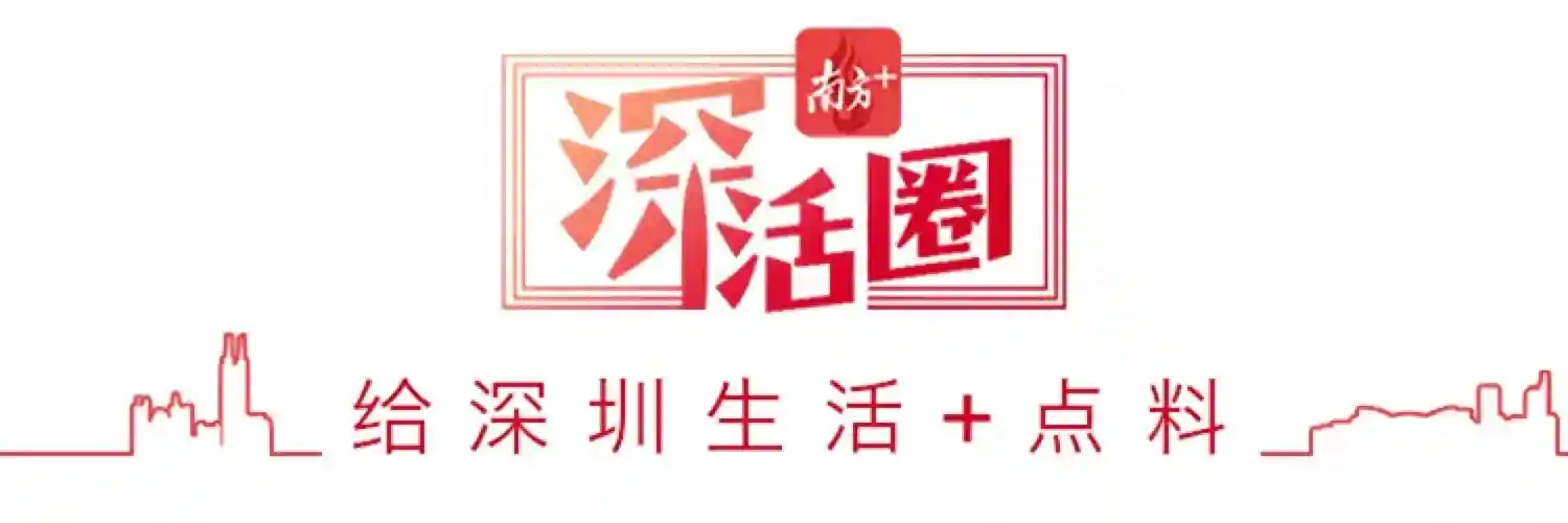 为狗定制生日蛋糕、带猫拍全家福…深圳兴起养宠热