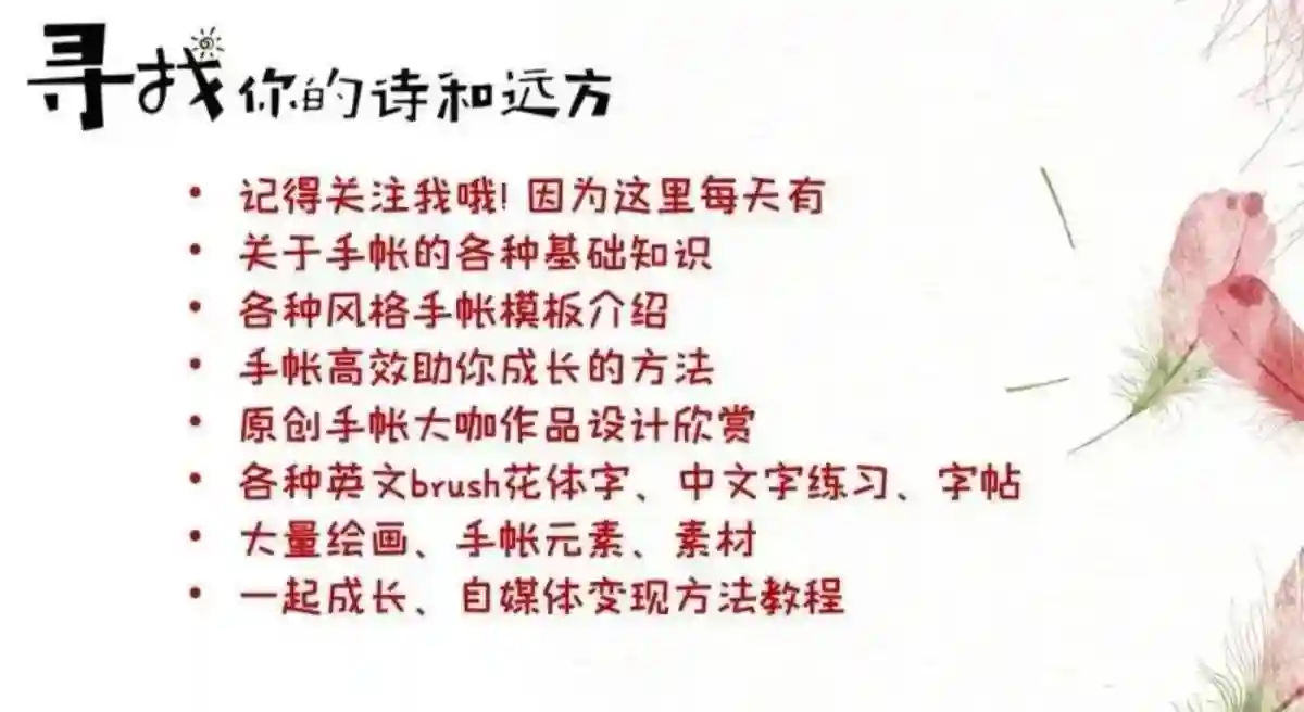 女生100天自律计划