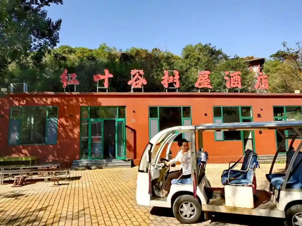 老乔游记|住树屋、喂孔雀、闺蜜游，红叶节前游济南红叶谷挺恣儿