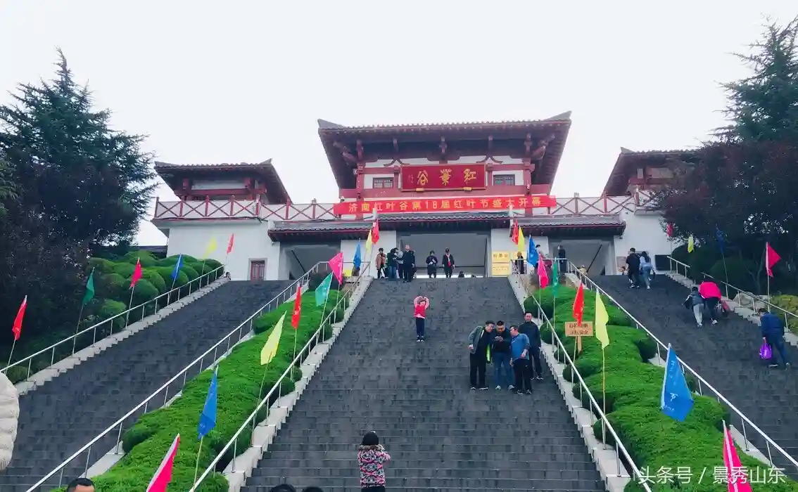 济南“红了”，又到周末，带着家人、朋友出来赏红叶吧