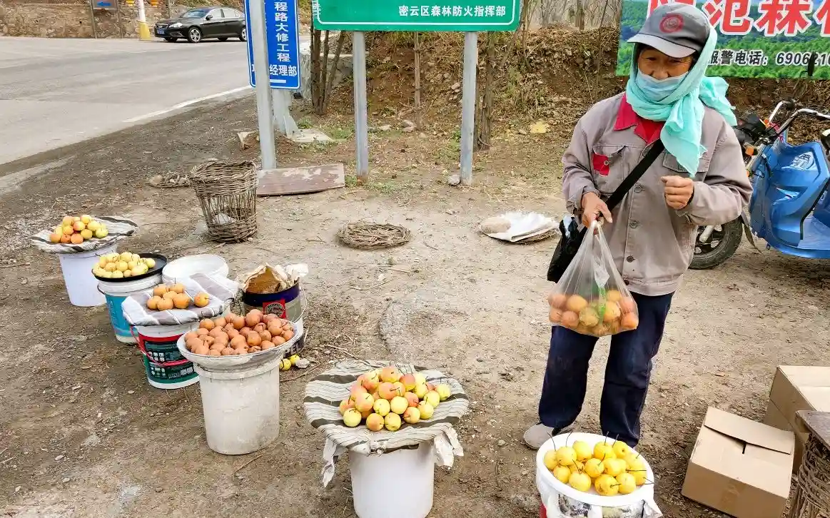 种了百年的京郊梨园 今年遇上了坎儿