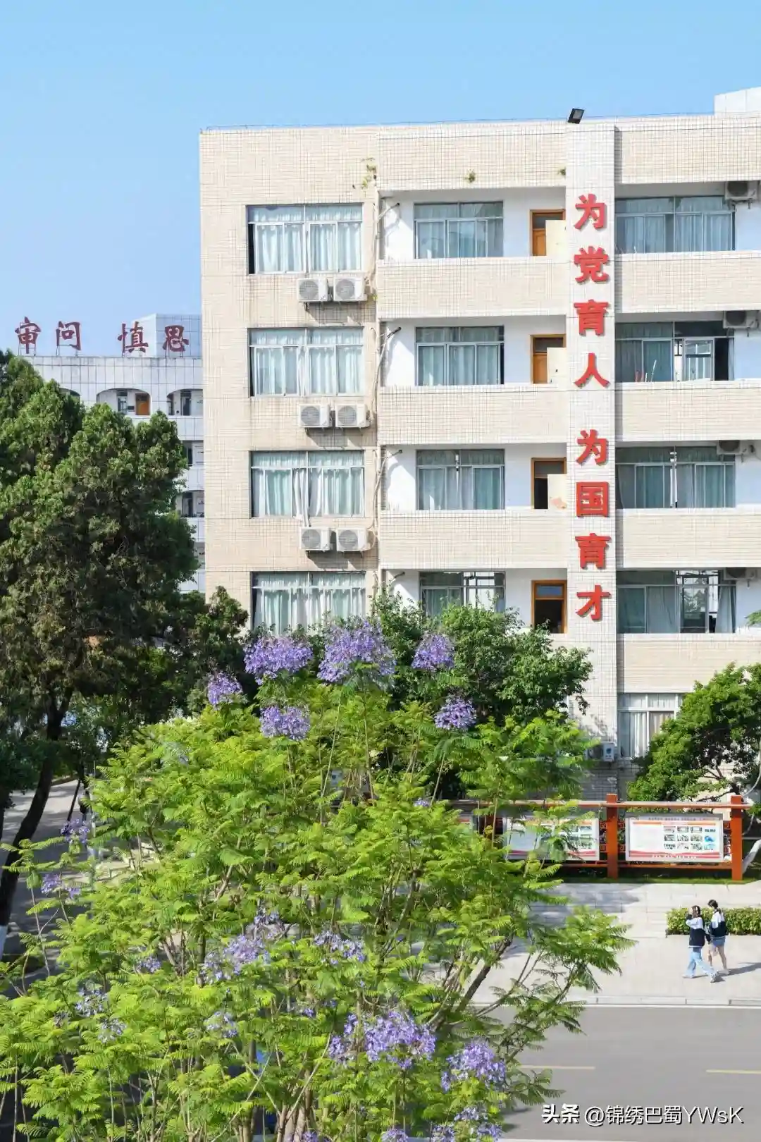 逐梦南山丨绵阳南山中学刘鑫睿：于南山云巘，度大美青春