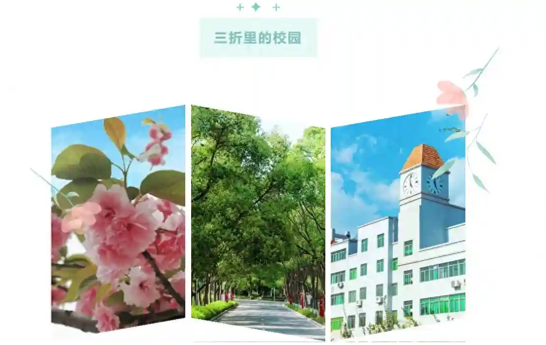 三折叠，怎么折都是绵阳职业技术学院！
