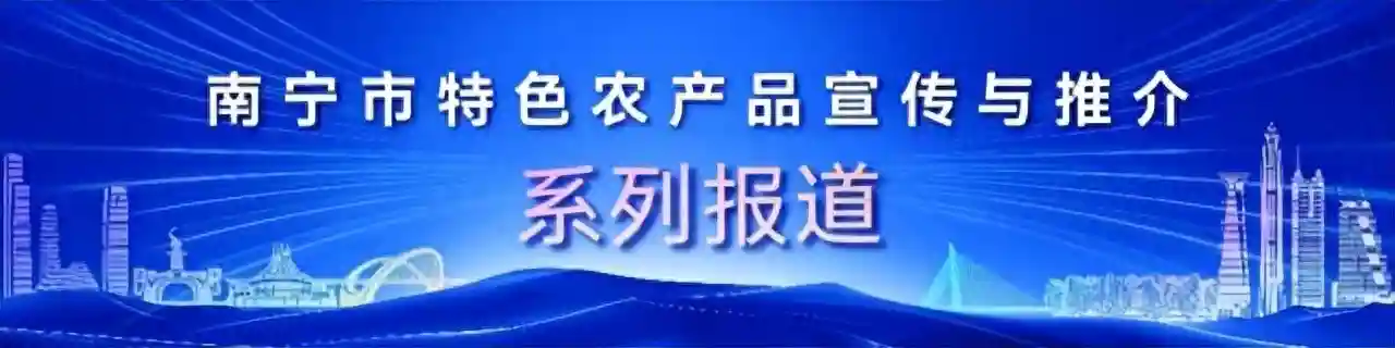 人间第一香，最是茉莉味