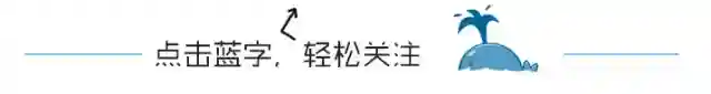 「震惊」网红“鲍师傅”摊上大事啦，你确定你排队买的那个是真的吗？