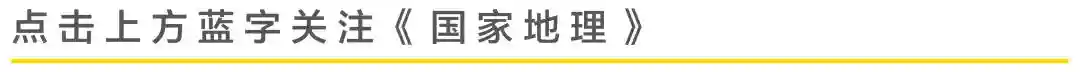 中秋节月饼神仙打架？古法手作+实木礼盒+古风摆画：一口唐宋风华，美得不像话！