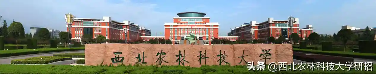 陕西“超壕”大学！占地6000多亩，空调宿舍、欧式澡堂很网红