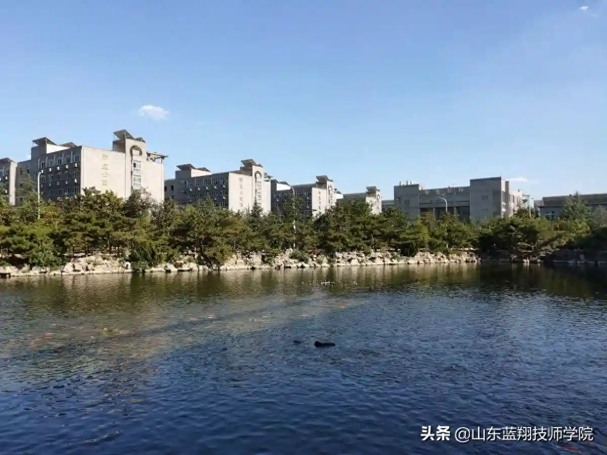 山东蓝翔烹饪学院培养厨艺精湛人才
