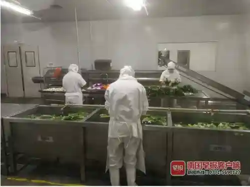 记者探访团餐加工企业：进餐食生产车间需7道流程