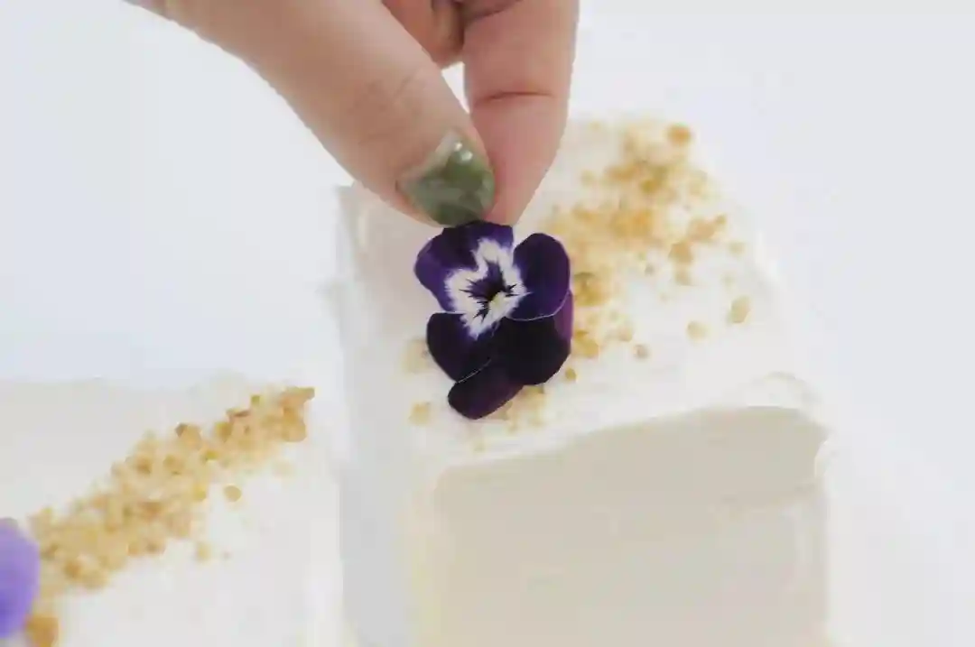 烘焙干货 | 常用淀粉使用区别大揭秘