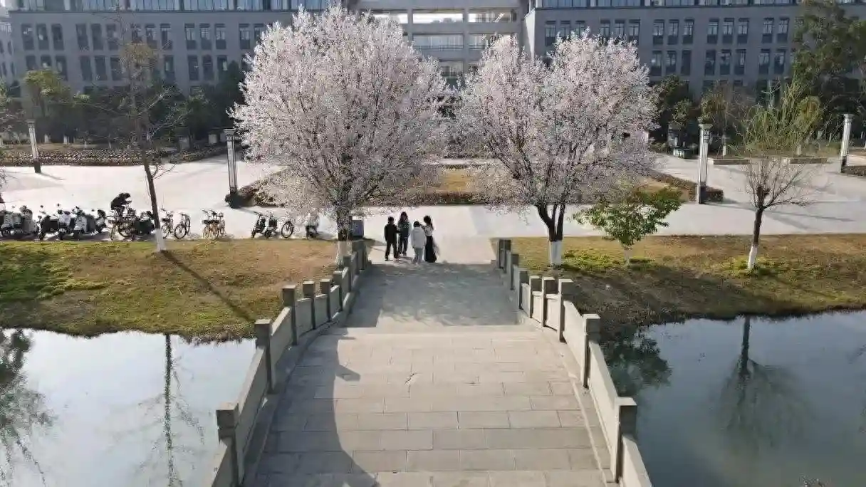 恭喜，四川的第二所医科大学要来了，川北医学院：那我呢？