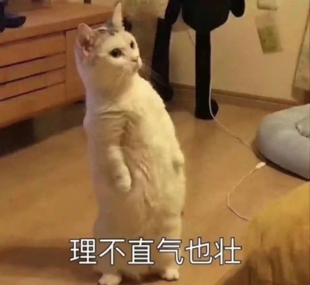 每年这几天，它都要成为最火的争论之一……