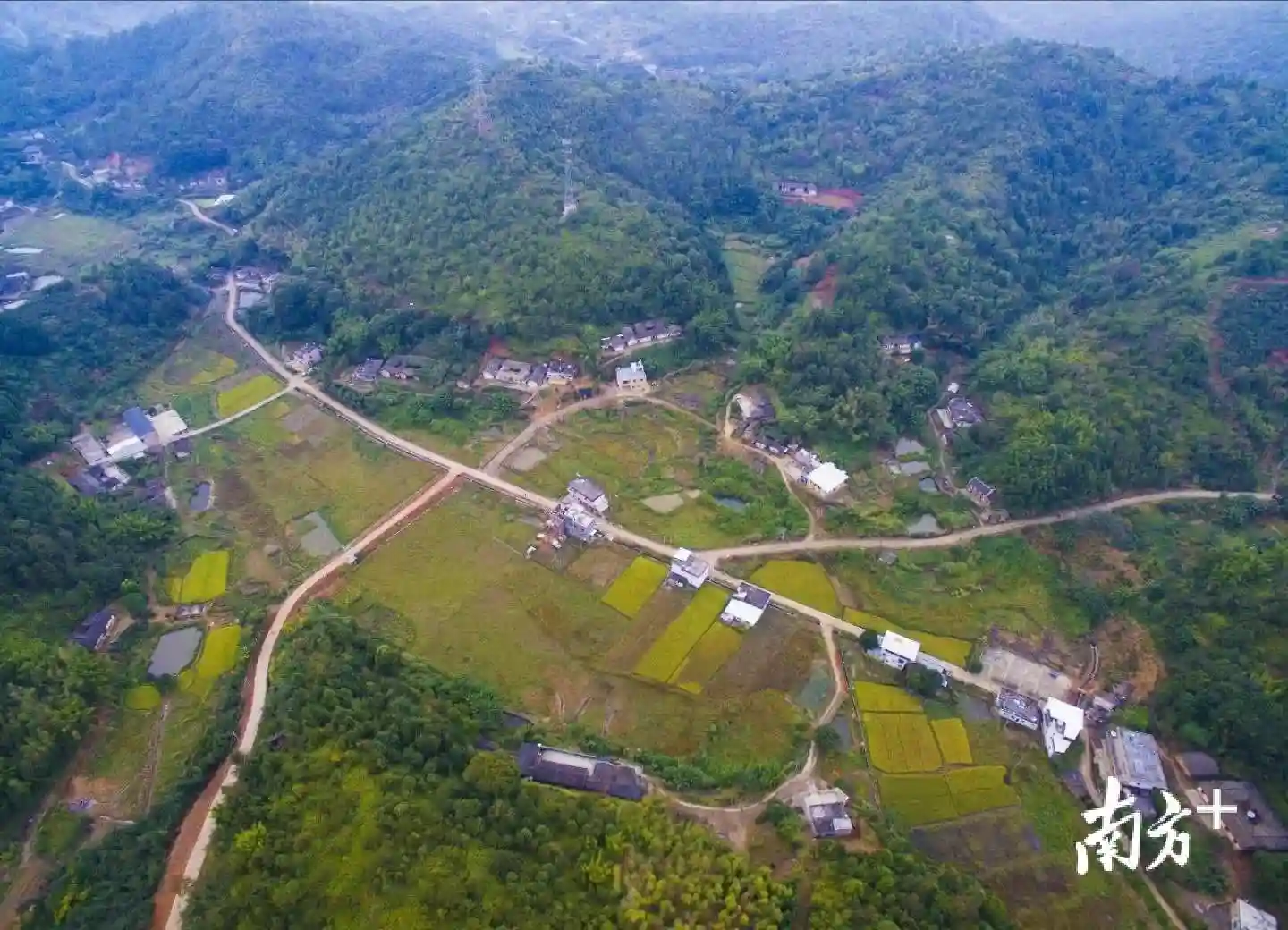 “挖煤人”变蛋糕师，带出200多名“烘焙人”！梅州这个“蛋糕村”有故事