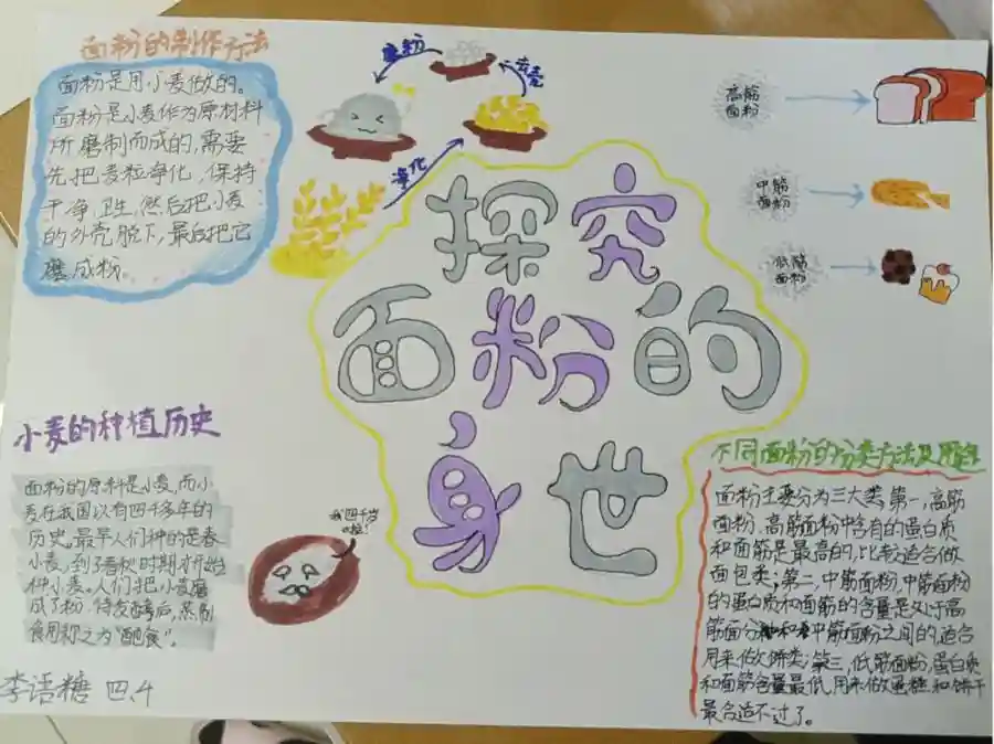 探寻面粉的前世今生！来看山大附中奥体中路学校项目式作业