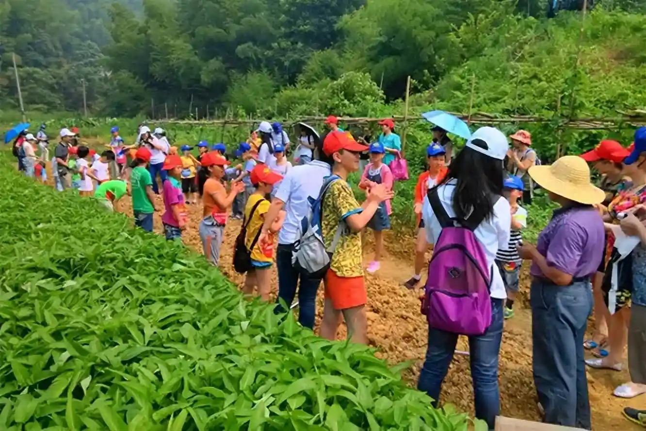 亲子项目怎么做？这8种模式告诉你——简而不陋、朴而不俗