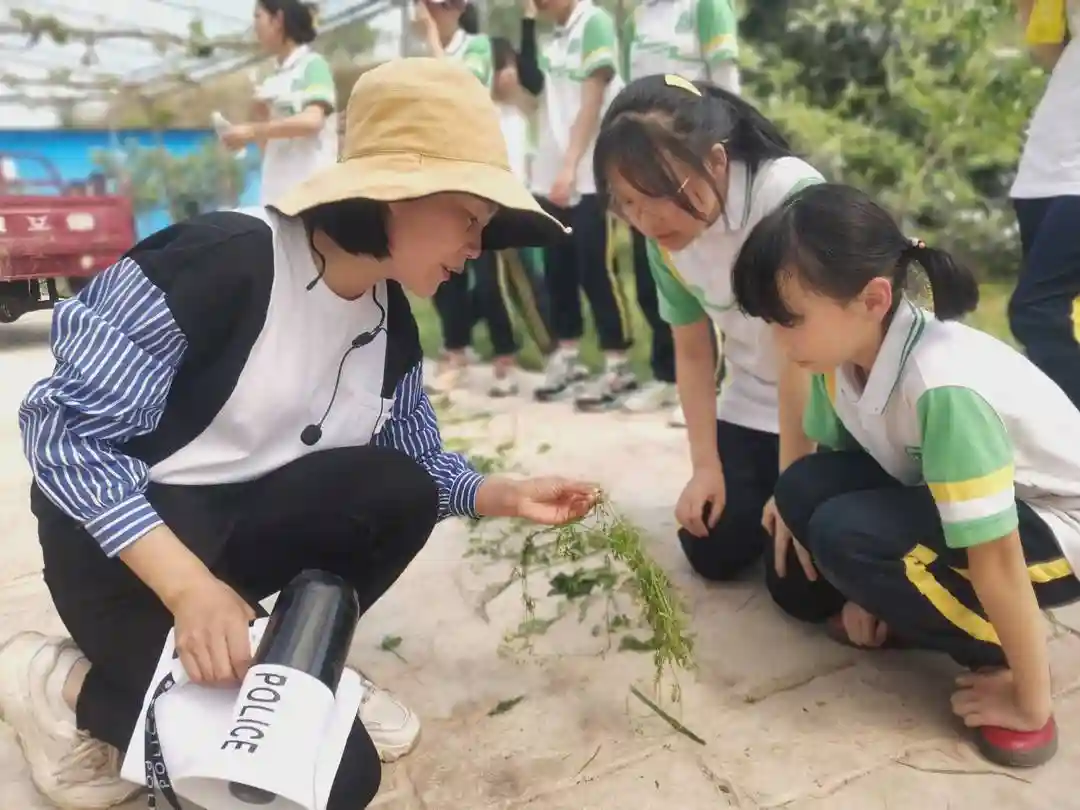 自贡市蜀光绿盛实验学校：丰富的课程润泽校园里每一个生命自由地成长