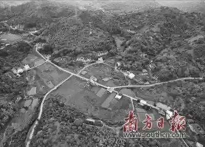 打造“蛋糕村”品牌 探索乡村振兴新路