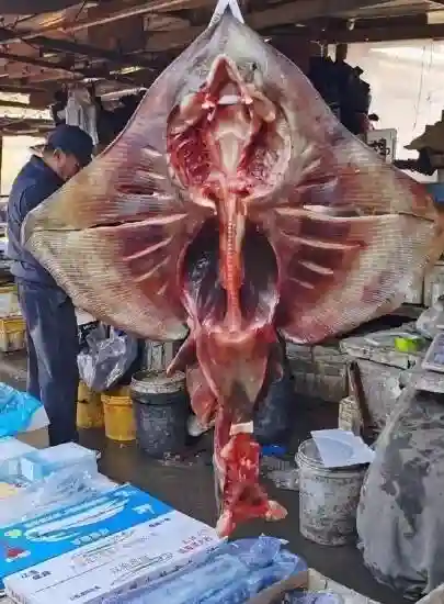 你关心的大连周边特色大集时间表来了，周末一起赶大集……