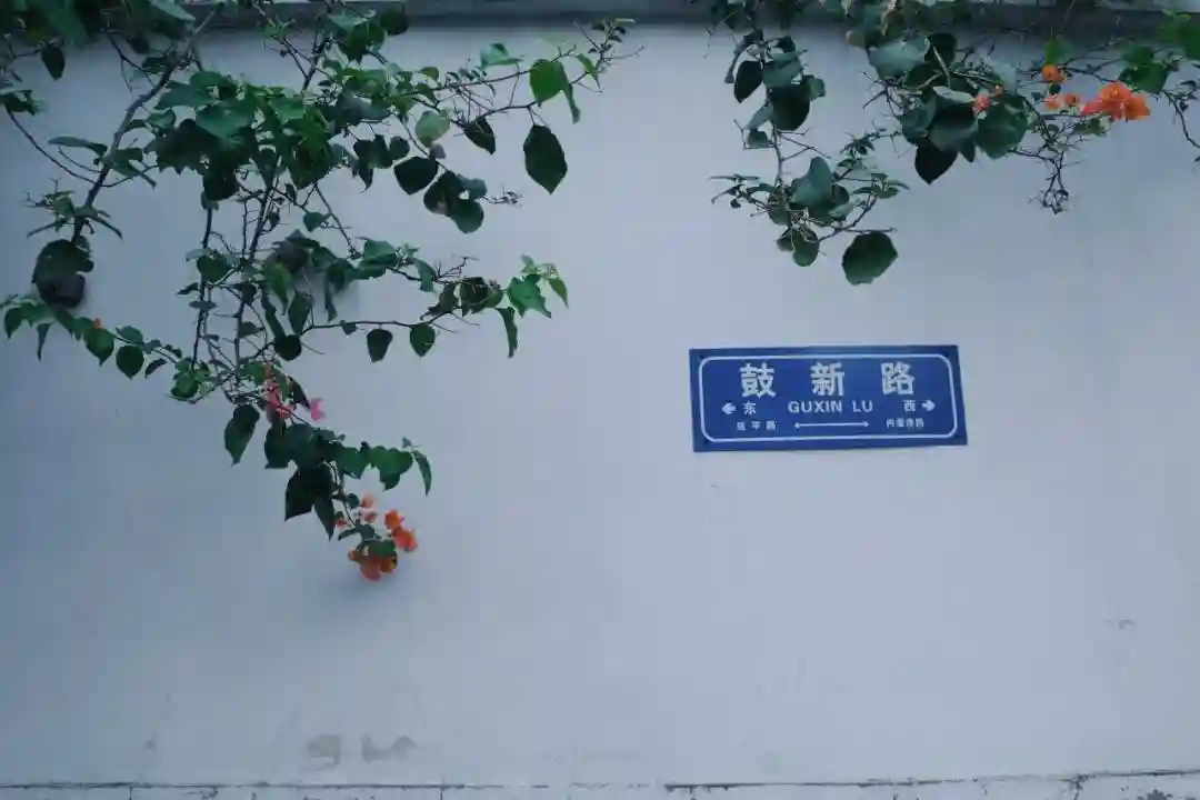 这是厦门最贵的酒店，也是真正的城市度假桃源